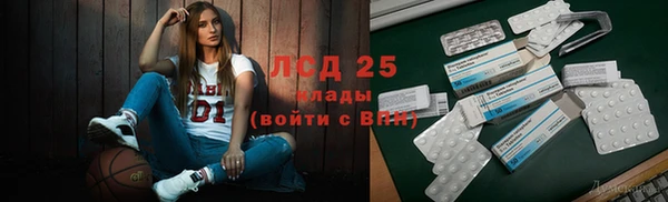 spice Бердск