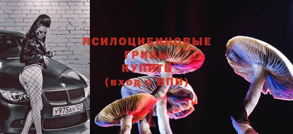 MDMA Premium VHQ Нея