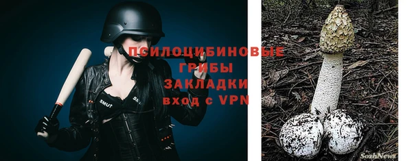 эйфоретик Нефтекумск