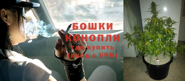 дурь Радужный